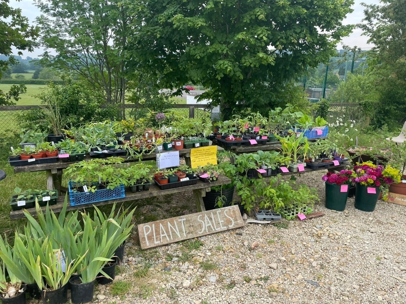 Blockley Allotments